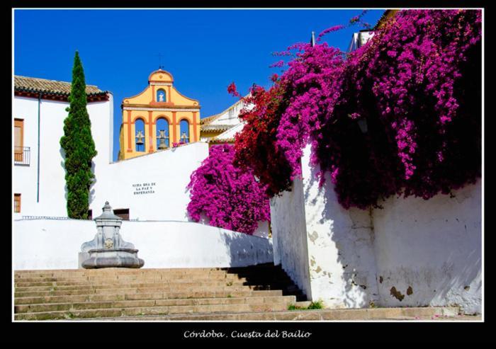 Centro Historico Cristo De Los Faroles La Preferida 코르도바 외부 사진